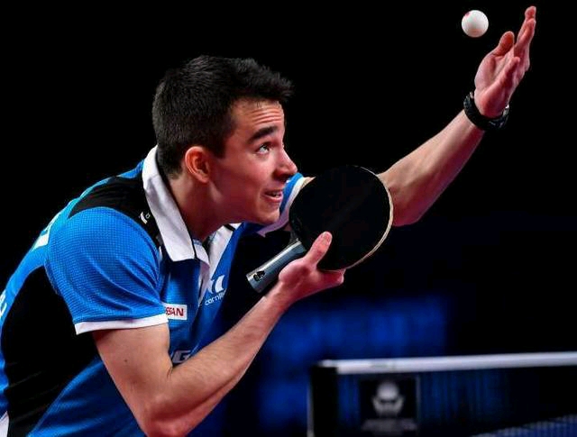 至可能反映 至可能反映