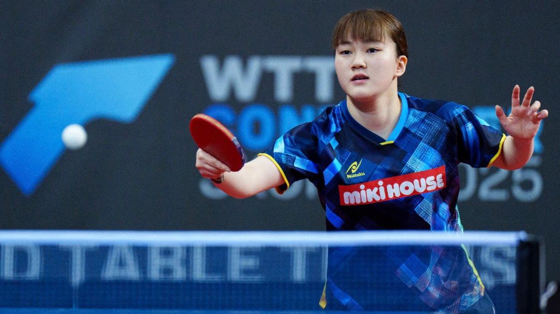 我们或将见 我们或将见